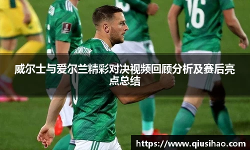 威尔士与爱尔兰精彩对决视频回顾分析及赛后亮点总结